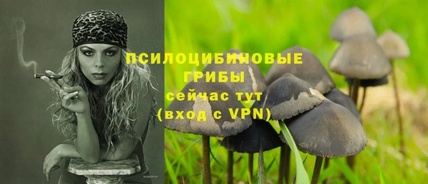 метадон Арсеньев